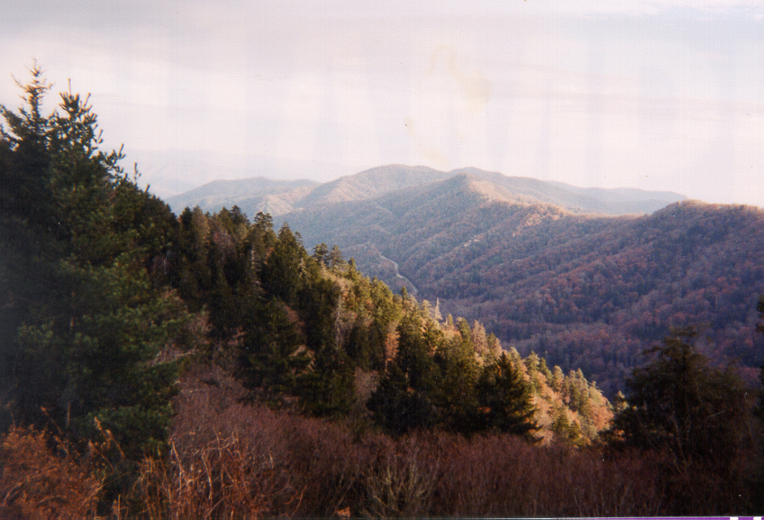 mountainview.jpg
