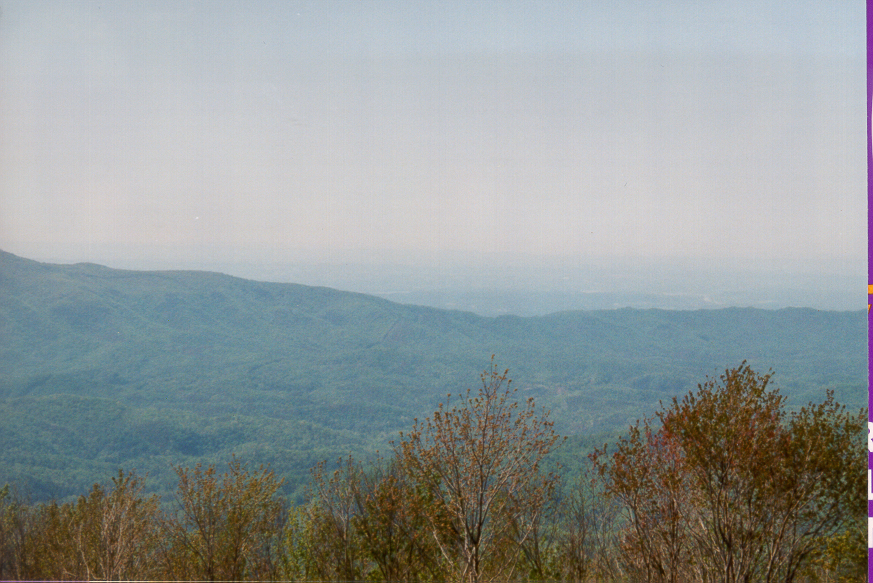 mountainview2.jpg